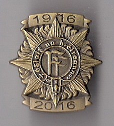 Defence Forces Badge (2)